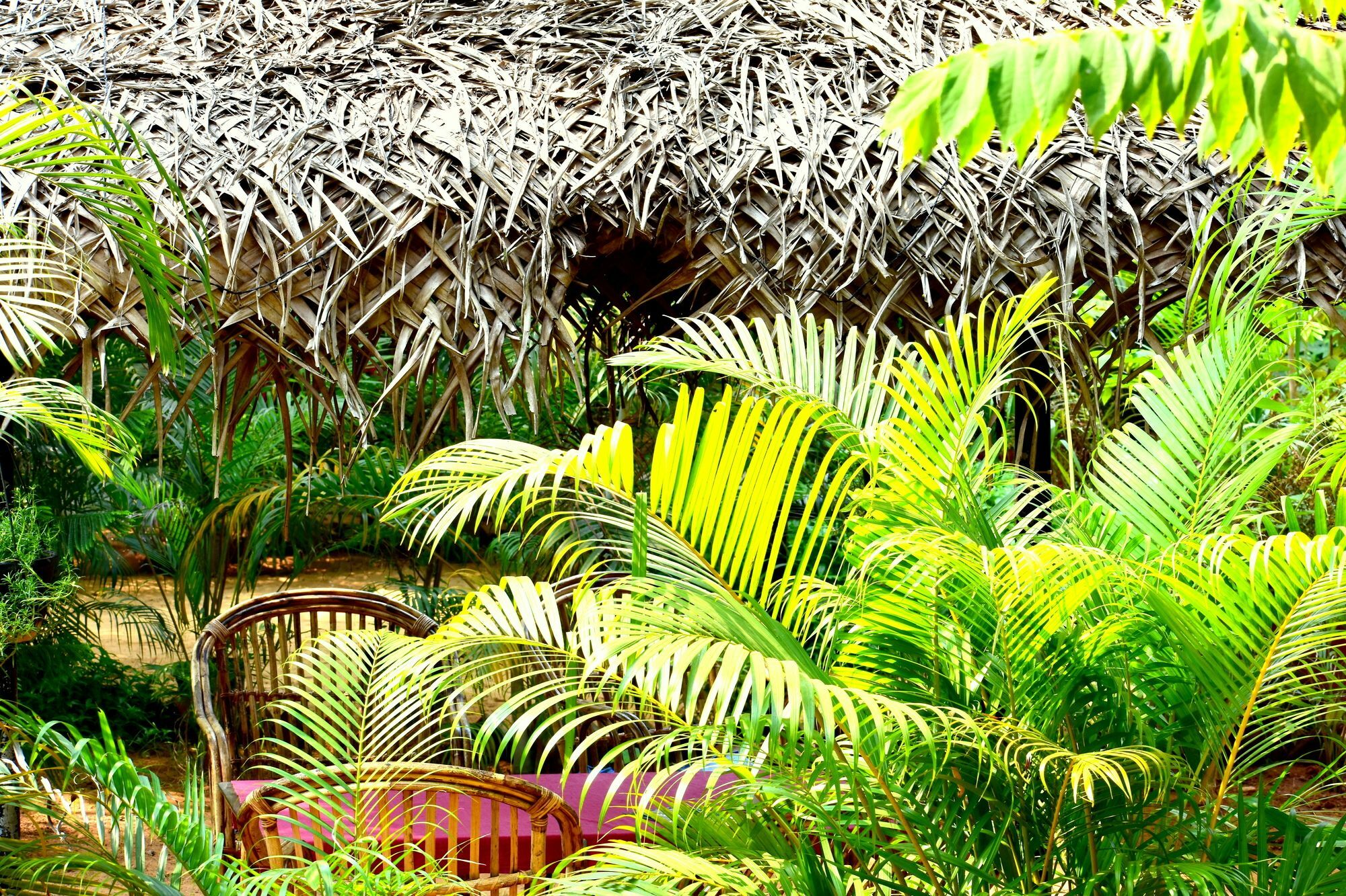 Patnem Garden Resort Patnem Beach Kültér fotó